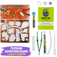 Комплект фермы Медиум "Дерево"